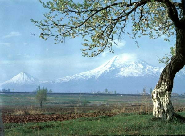 Самвел Хачатрян