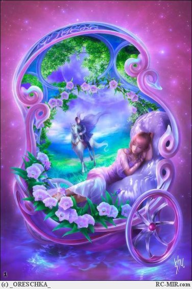 Светлана Глущенко