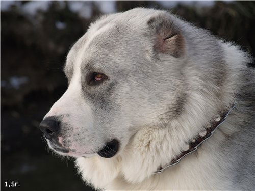 Евгений Юшков