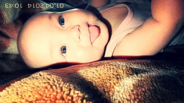 Доничка Доничка