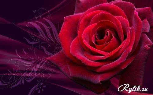 Роза Нургалиева