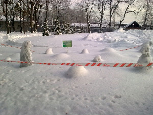 Леша Панюхин