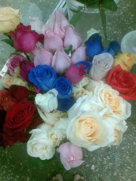 Шолпан Шакенова