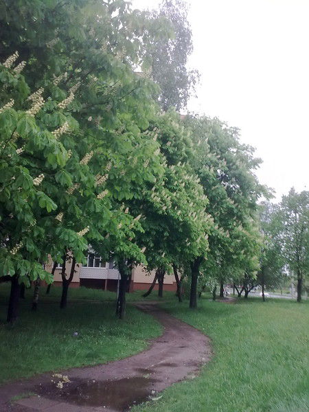 Ирина Сокольчик