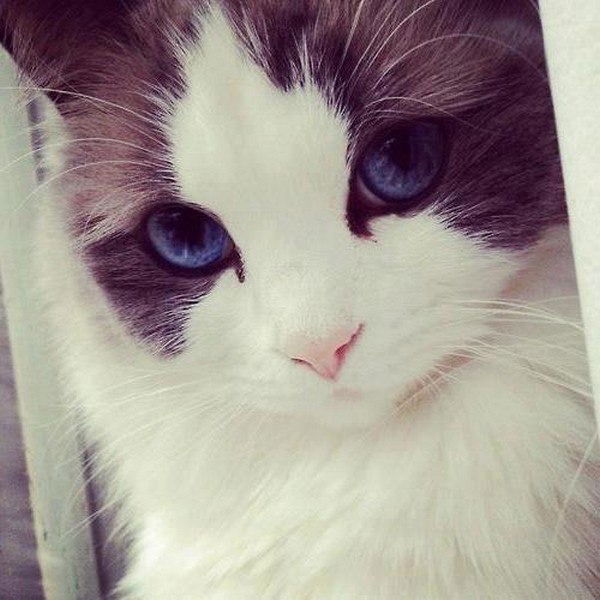 Толкын Изгутдинова