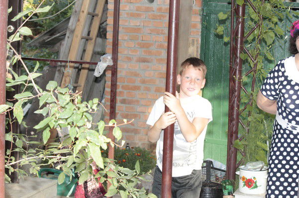 Любовь Петренко