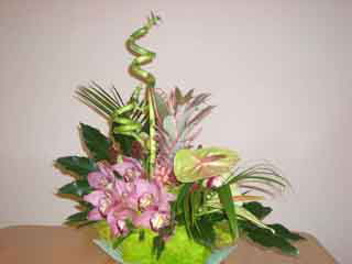 Лариса Шарапенко