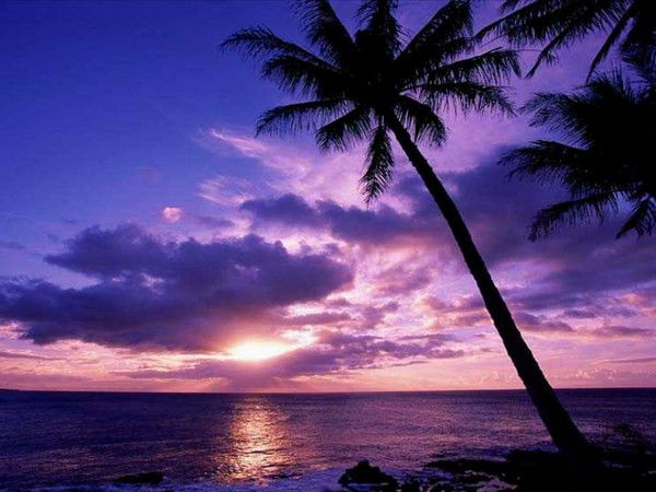 Ольга Ковальковская