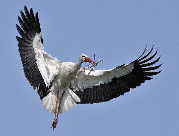 Юрий Буслов