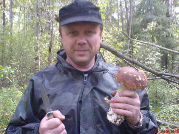 Александр Красильников