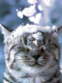 Дарья Литвина