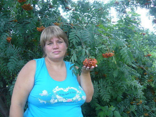 Елена Михайлова