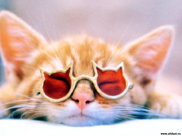 Анечка Ильина