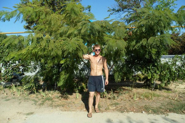 Николай Колесник