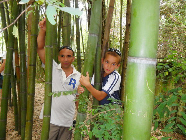 Грачик Будагян