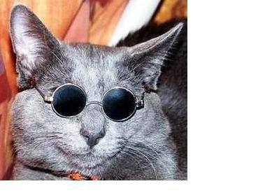 Владимир Сивоконь