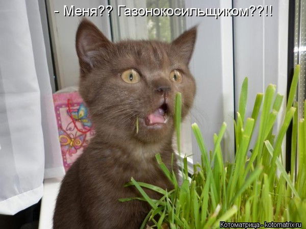 Игорь Викторович Каширин