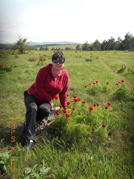 Нина Статкевич