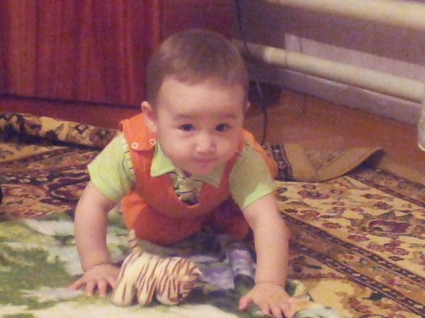 Роза Шамильевна