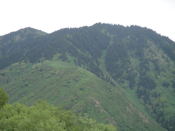 Асылжан Темирбаев