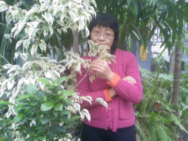 Чечена Монгуш