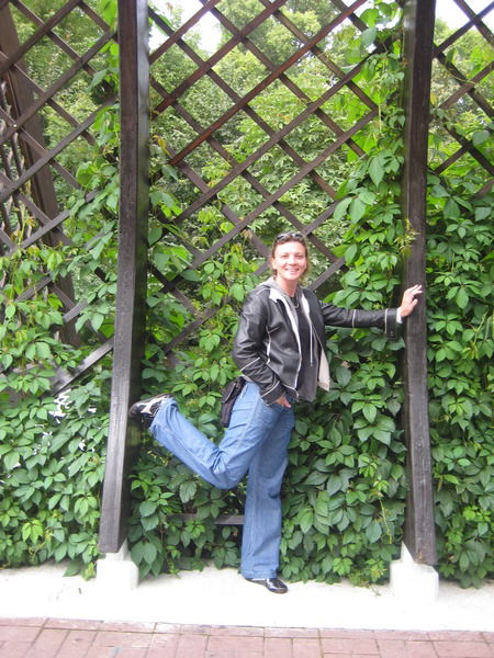 Татьяна Шеверева