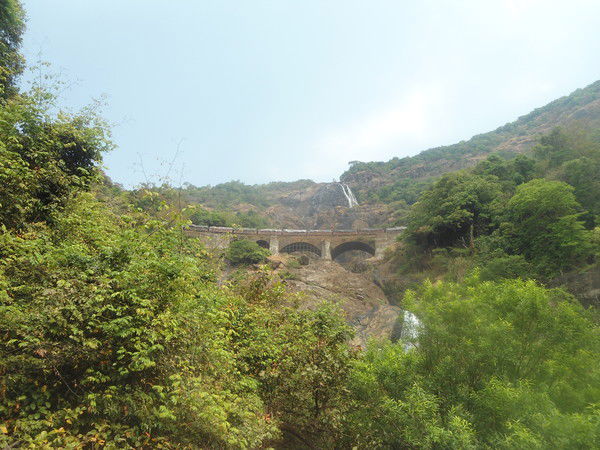 Елена Касатова