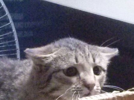 Вячеслав Васильев