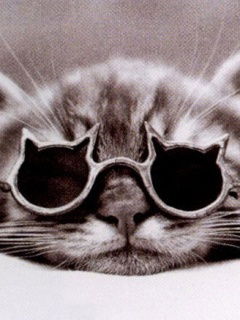 Евгений Алексеев