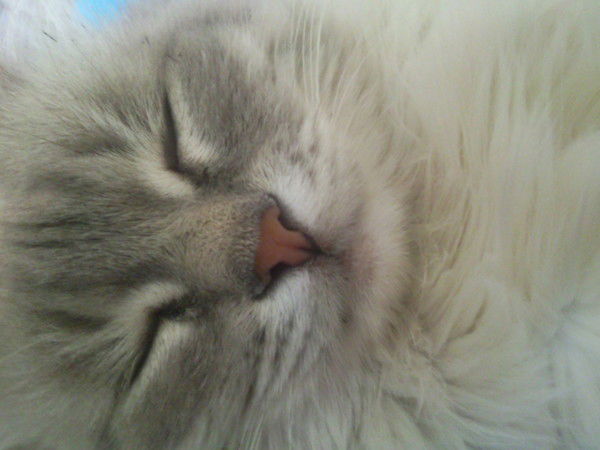 Оксана Ткаченко