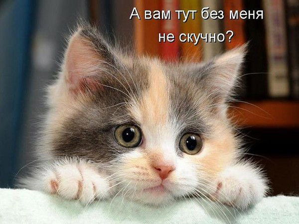 Валентина Гнатюк