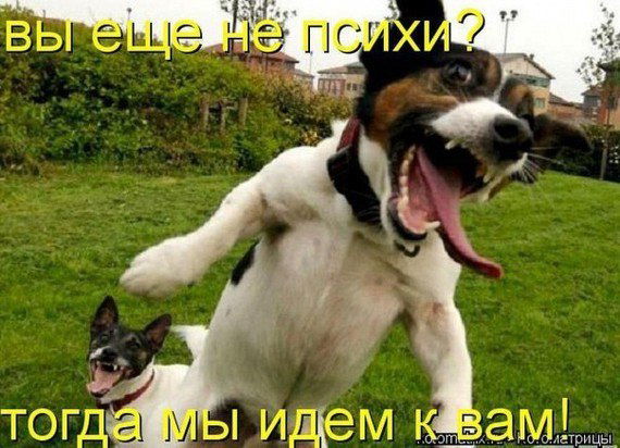 Олег Мозгунов