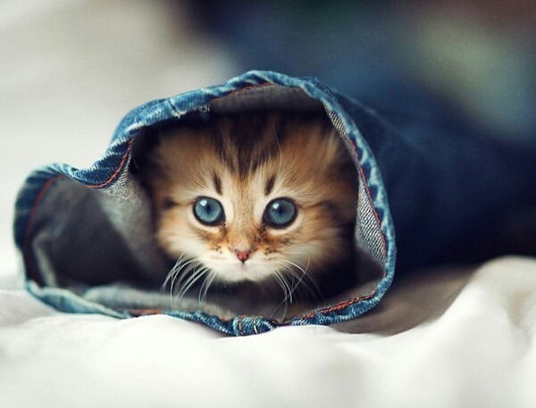 Hadjar Rabynia Allaha