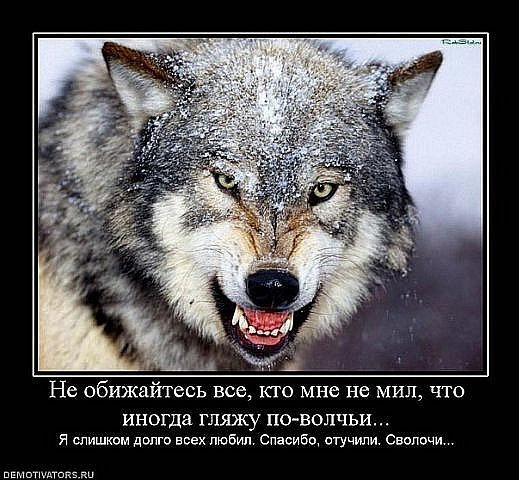 Александр Насущный