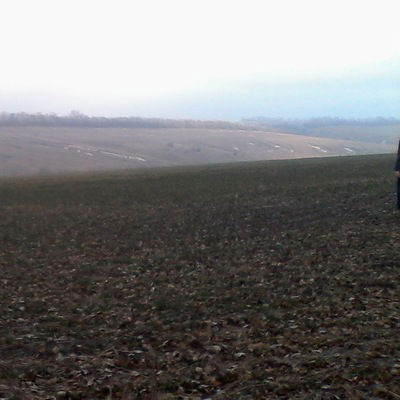 Андрей Панов