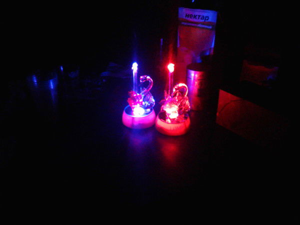 Евгений Стариков