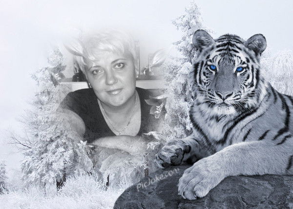 Наталия Процай