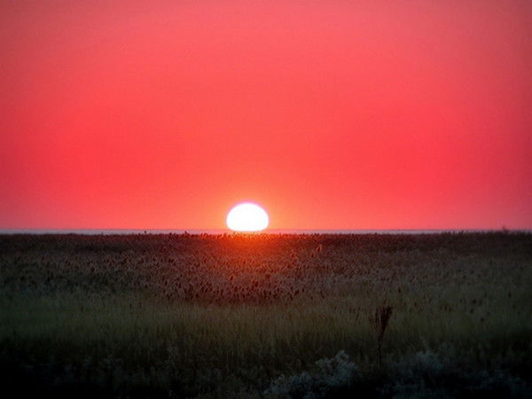 Михаил Чмут