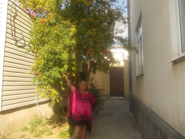 Неизвестно Неизвестно