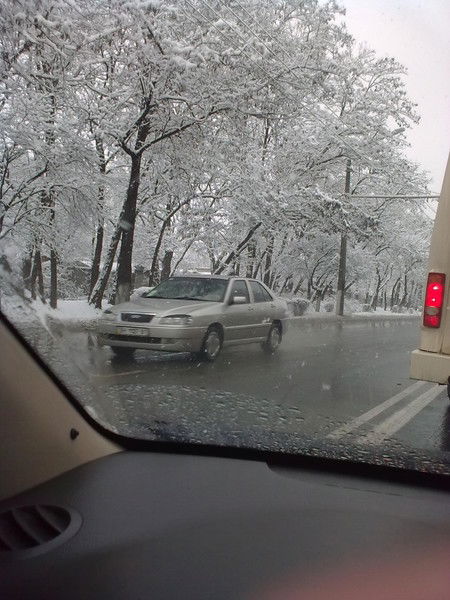 Татьяна Чурилова