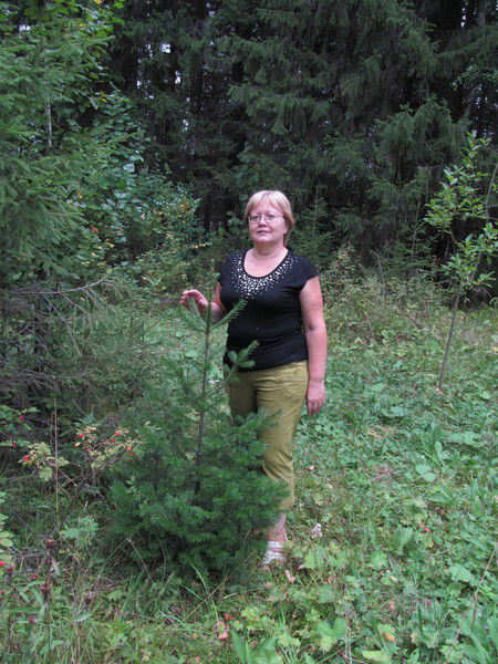 Светлана Каллистова