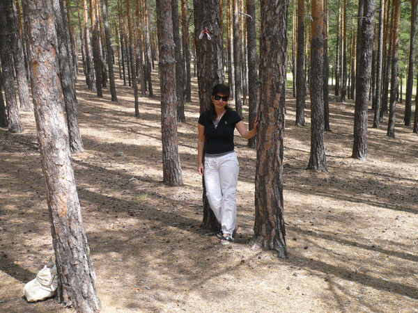 Алтынай Бейсебаева