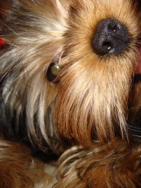 Наталия Севостьянова