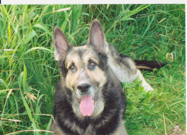 Евгений Герасимов