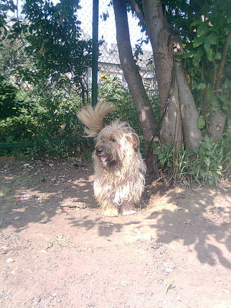 Александр Болотов