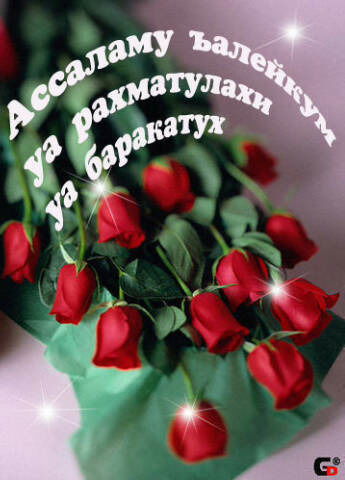 Эрмек Усенакунов