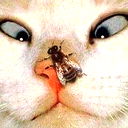 Аслан Яндиев