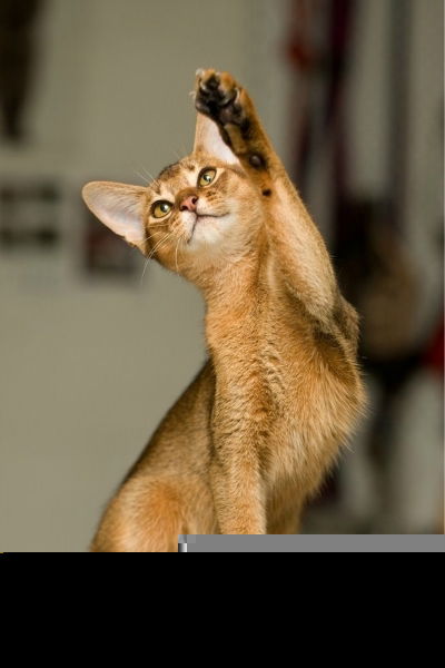 Наталья Жильцова