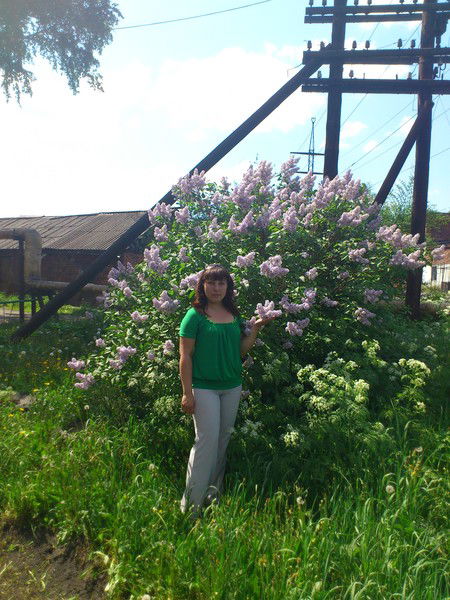 Елена Новоселова