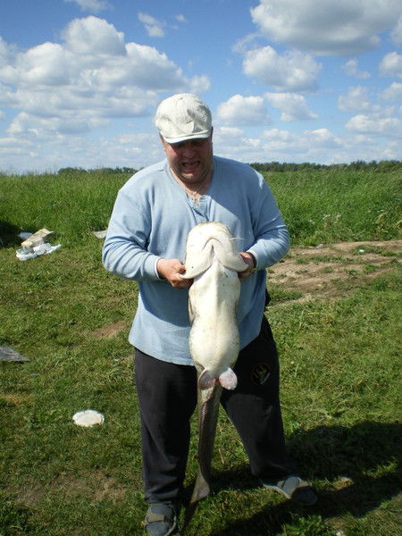 Сергей Паншин